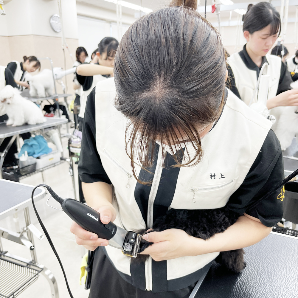 ２年生のトリミング実習♪